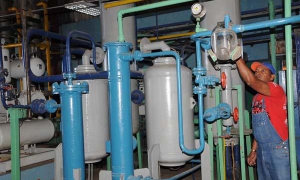 Planta de Tuinucú