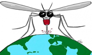 Caricatura Mosquito-Zica