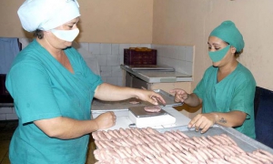 Merienda escolar, centro de elaboración