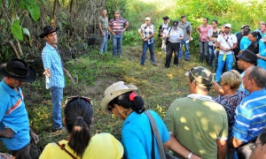 La FAO ha promovido en Cuba, junto a las agencias gubernamentales, espacios de intercambio y aprendizaje sobre las mejores prácticas agrícolas.