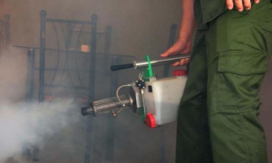 Campaña de fumigación contra el Aedes Aegypti.