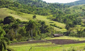 paisaje cubano
