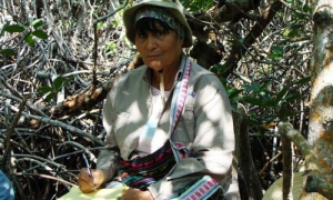 La investigadora Leda Menéndez atesora una vasta experiencia en el estudio de los manglares.