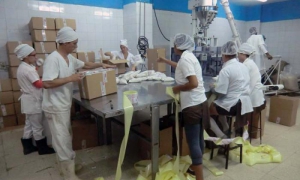 El Instituto de Investigaciones para la Industria Alimentaria procura la fusión del campo investigativo con el productivo.