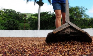 café en sancti spíritus