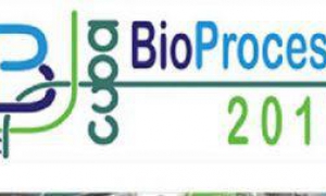 congreso de bioprocess
