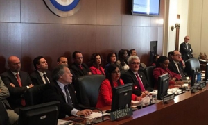 La canciller venezolana advirtió en la sede de la oea, en Washington, que el secretario
general actúa como agente de los intereses de Estados Unidos. Foto: Cancillería de Venezuela