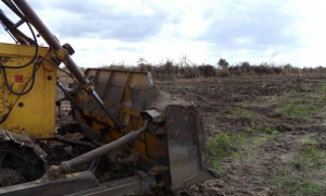 Nada ha podido detener el empuje de hombres y máquinas en el combate contra el marabú y las malezas. fotos del autor
