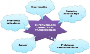 enfermedades crónicas no transmisibles