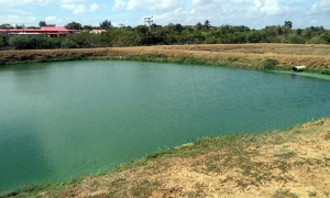 La bahía de Nipe es una de las beneficiadas. 