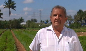 Doctor Roberto Caballero Grande, coordinador del Programa Agroecológico Nacional de la Asociación Cubana de Técnicos Agrícolas y Forestales.