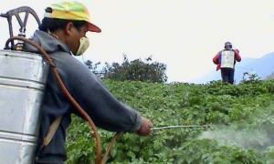 Ciego de Ávila es una de las provincias que marchan a la avanzada del país en la aplicación de medios biológicos a los cultivos. 
