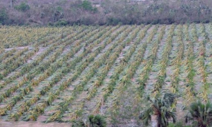 Las afectaciones que provocan estos fenómenos meteorológicos obligan a ser consecuentes con las medidas de prevención y a permanecer informados. 