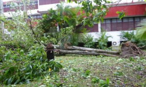 Imágenes de Villa Clara 