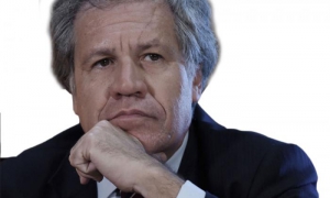 Luis Almagro Lugar de nacimiento: Paysandú, Uruguay Edad: 54 años Ocupación: Secretario General de la oea Filiación política: Frente Amplio (Uruguay) Alma Máter: Universidad de la República