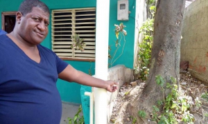 José Alberto no ha conseguido apoyo para cortar la mata de mamoncillos que amenaza su vivienda. 
Fotos Del autor