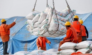 En la imagen, trabajadores descargan productos de soja en el puerto de Nantong, China, el 22 de marzo de 2018. REUTERS/Stringer