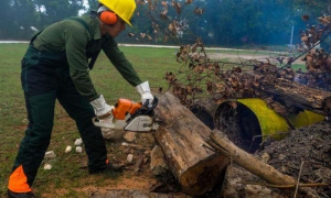 La poda adecuada de árboles (no mutilarlos) y la sistemática limpieza y recogida de la basura extraída de los tragantes figuran entre las medidas para disminuir vulnerabilidades.    