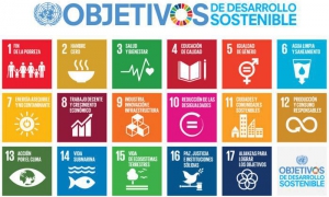 n los Objetivos de Desarrollo Sostenible por primera vez se hace referencia a la Educación Superior cuando se afirma en el punto número cuatro: Para 2030, asegurar el acceso en condiciones de igualdad para todos los hombres y las mujeres a una formación t