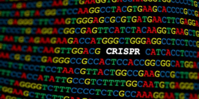 Crispr/Cas9