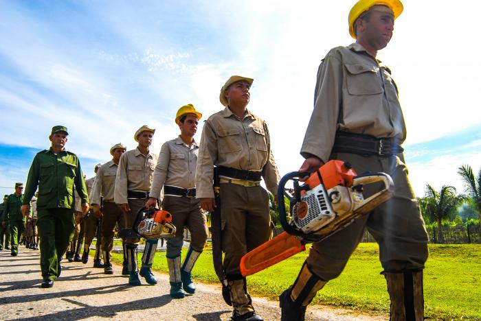 Batallón Florestal UM-704 EJT,Provincia Matanzas,Cienaga de Zapata
