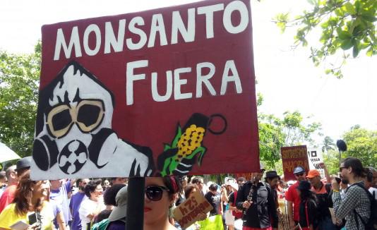 Las protestas contra la compañía y su producción de semillas transgénicas han sucedido 
en diferentes partes del mundo.