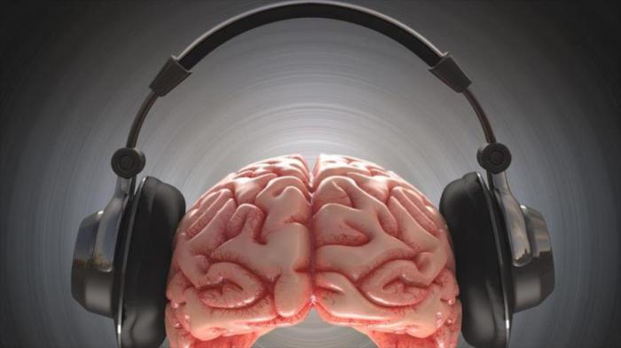 La corteza auditiva del cerebro puede cancelar selectivamente los sonidos que aprendió que surgirán de un movimiento particular