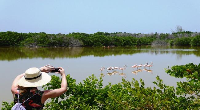 Para proteger las riquezas naturales del humedal se desarrollan diversas acciones de conservación. 
