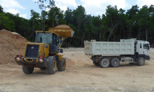 La posibilidad de reforestar con componente orgánico en las zonas de extracción 