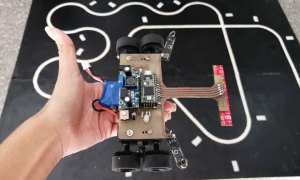 Palmiche, un robotracer de la disciplina Seguidor de líneas, tiene el importante