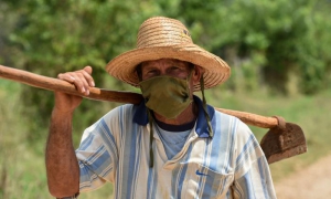 Campesino tomando medidas de precaución por el Coronavirus (Covid-19); en Zaragoza, Mayabeque