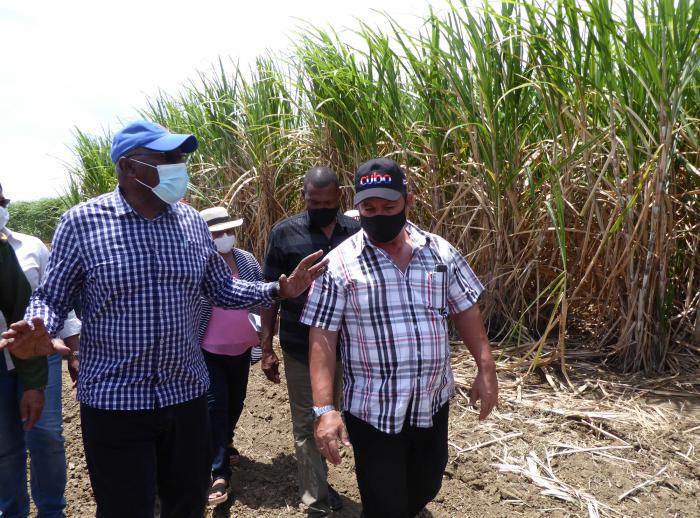 El vicepresidente de la República, Salvador Valdés Mesa, conoció detalles del revestimiento con hormigón de los canales conductores de agua en la zona de Cosme-Herrera, que será el mayor polo productivo de arroz de esta provincia y donde se pretende disponer de 2 000 hectáreas para el fomento de ese cereal