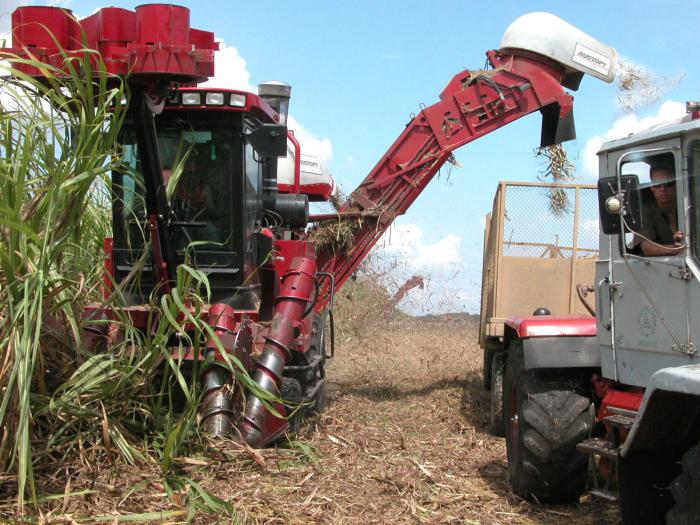 De la calificación y entrega de los operarios de las máquinas cosechadoras y de los medios de transporte en mucho dependerá el abasto oportuno de caña a los centrales