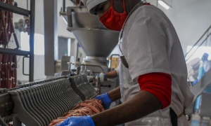 Empresa Argelio Reyes Aguilar, PRODAL, municipio Regla