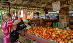 Agromercado Tulipán, perteneciente a la cadena de la EJT, Plaza de la Revolución