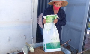 Los gobiernos locales tienen responsabilidad en la generación de empleo para las mujeres, con énfasis en zonas rurales y costeras. foto: Mailenys Oliva Ferrales	
