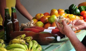 En los primeros cinco meses del año se impusieron 278 multas con un importe que supera los 900 500 pesos