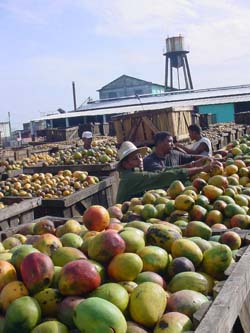 Foto: Rafael Mart�nez Arias 