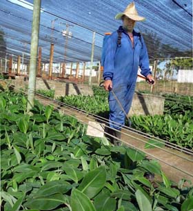 El hecho de que muchos productores desconozcan sus ventajas, limita en la actualidad el impacto de la biofábrica.