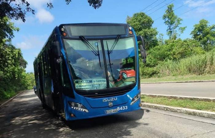 Comienzan a prestar servicio en la capital ómnibus recuperados
