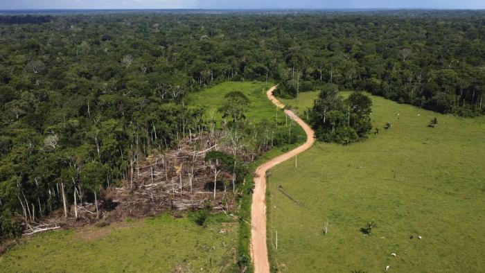 China-América Latina y el Caribe estrechan cooperación; Trump amenaza con revocar licencias; Ecuador irá a referendo; Brasil lanza IA para monitoreo de la Amazonía