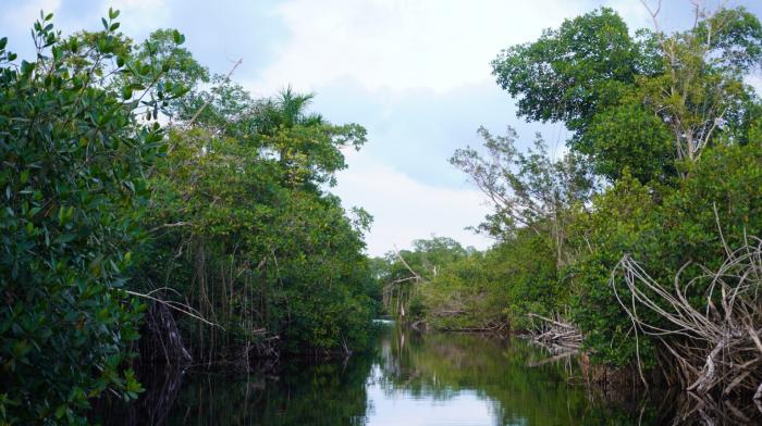 Científicos avileños profundizan estudios para mitigar impactos climáticos en Gran Humedal del Norte