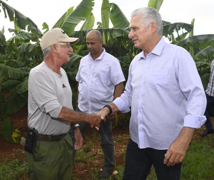 Constata Díaz-Canel recuperación de producciones agropecuarias en Artemisa