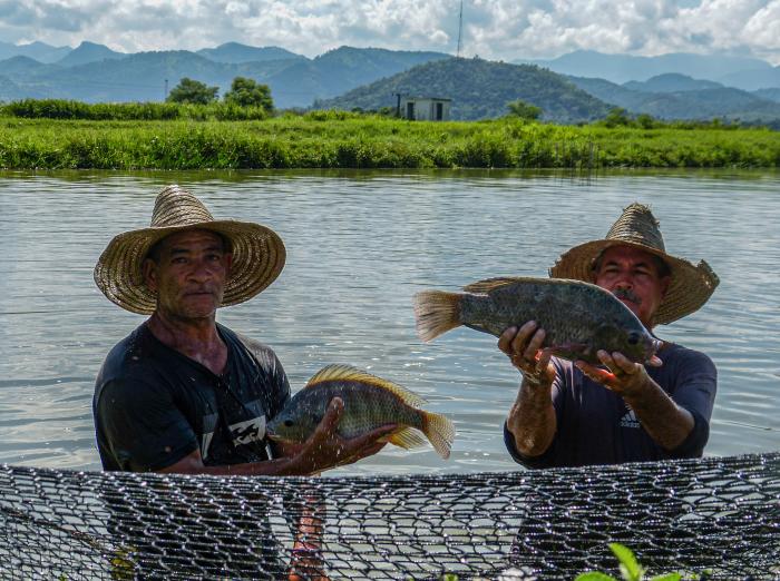 Agua dulce (+ Fotos)