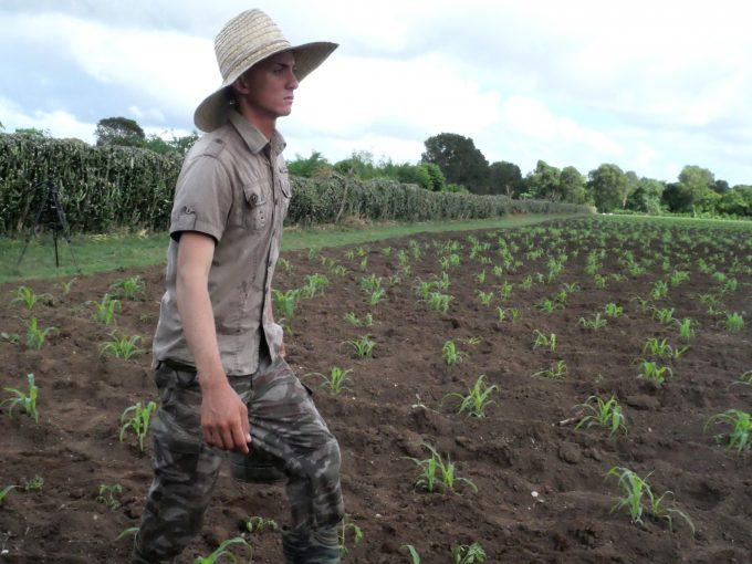Incrementa en Granma la incorporación de jóvenes a la producción agrícola