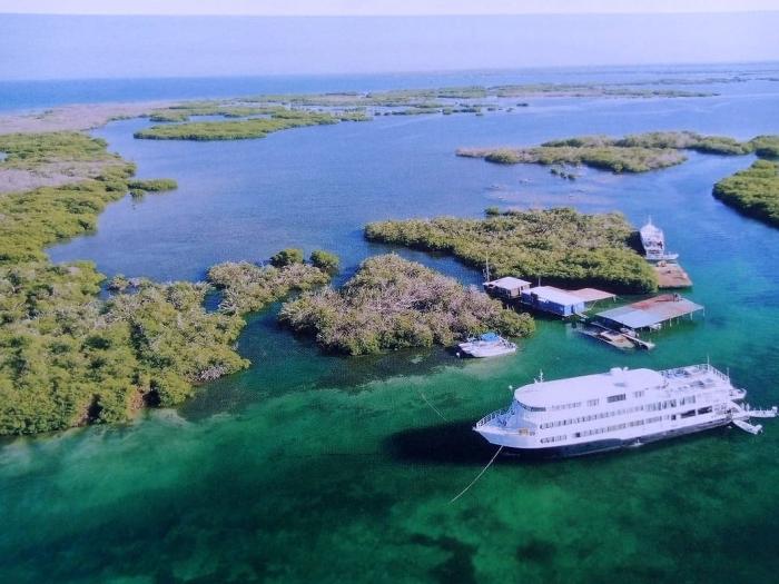 Jardines de la Reina: el arrecife cubano que aspira a Patrimonio de la Humanidad