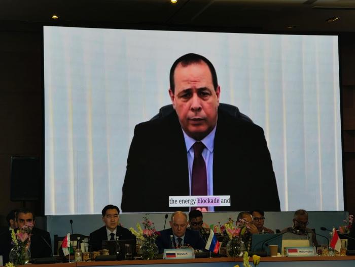 Cuba lên án tác động nghiêm trọng của phong tỏa Mỹ tại Hội nghị Bộ trưởng Y tế BRICS lần thứ XVI