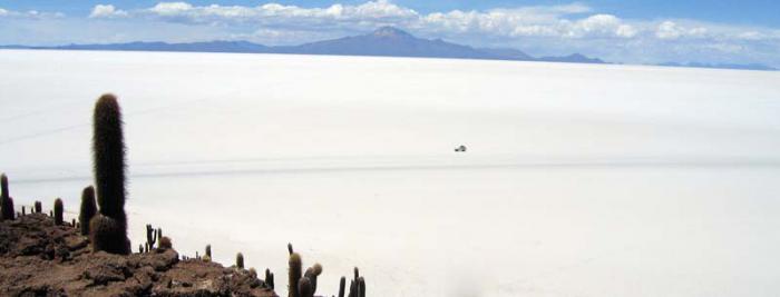 El Salar de Uyuni está ubicado en el departamento de Potosí, al sur de Bolivia, a una altura de 3 680 metros sobre el nivel del mar y con una superficie de alrededor de 10 mil kilómetros cuadrados. / 