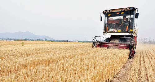 La correcta alimentación de más de mil 300 millones de personas constituye uno de los retos del gigante asiático. 
