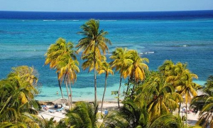 Japon-Cuba